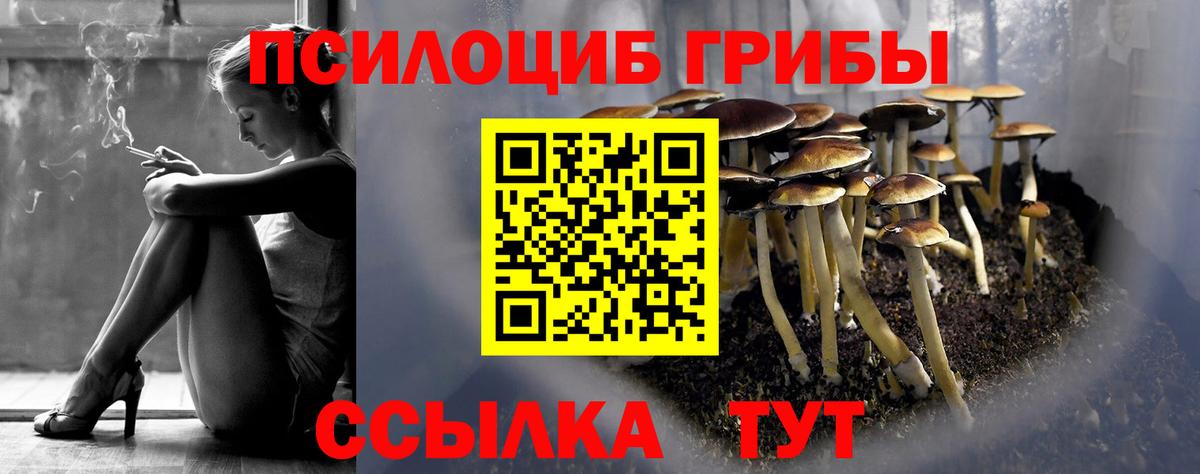 Галлюциногенные грибы MAGIC MUSHROOMS Пугачёв